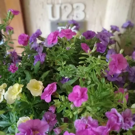 Ubytování v soukromí U23
